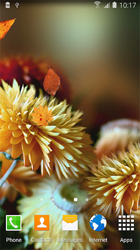 Screenshot dello Schermo Autumn flower sul cellulare e tablet.