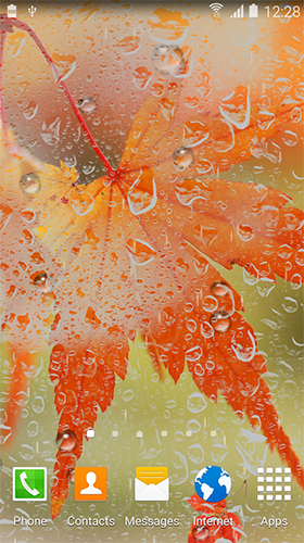 Screenshot dello Schermo Autumn HD by BlackBird Wallpapers sul cellulare e tablet.
