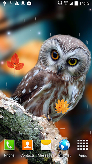 Scaricare Autumn by Blackbird wallpapers — sfondi animati gratuiti per l'Android su un Desktop. 