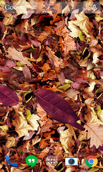 Scaricare Autumn Leaves — sfondi animati gratuiti per l'Android su un Desktop. 