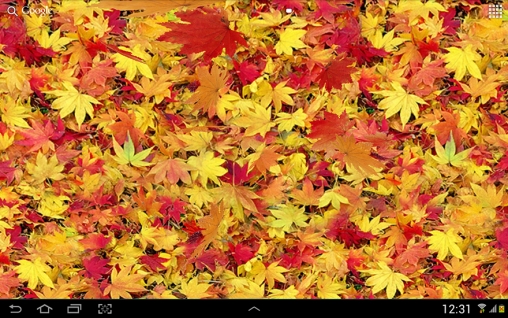 Scaricare Autumn leaves 3D — sfondi animati gratuiti per l'Android su un Desktop. 