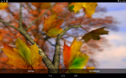 Scaricare Autumn leaves 3D by Alexander Kettler — sfondi animati gratuiti per l'Android su un Desktop. 