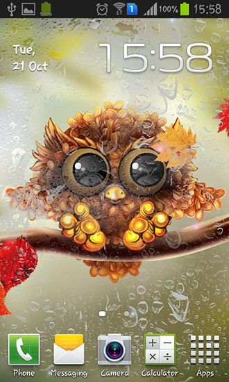 Scaricare Autumn little owl — sfondi animati gratuiti per l'Android su un Desktop. 