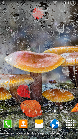 Scaricare Autumn mushrooms — sfondi animati gratuiti per l'Android su un Desktop. 