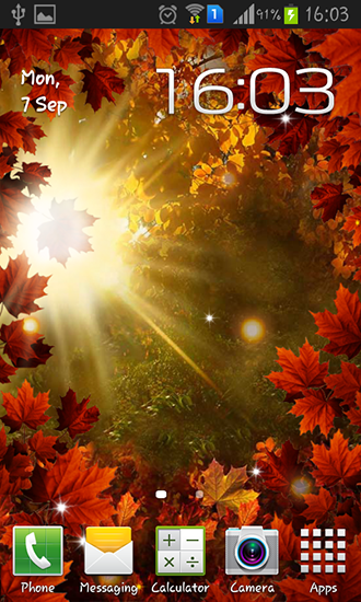 Scaricare Autumn sun — sfondi animati gratuiti per l'Android su un Desktop. 