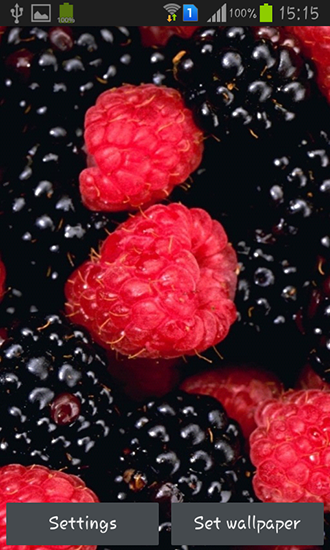 Scaricare Berries — sfondi animati gratuiti per l'Android su un Desktop. 