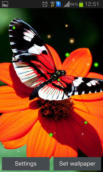 Scaricare Best butterfly — sfondi animati gratuiti per l'Android su un Desktop. 