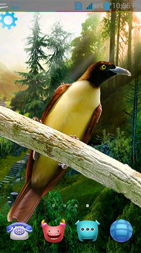 Screenshot dello Schermo Birds 3D by AppQueen Inc. sul cellulare e tablet.