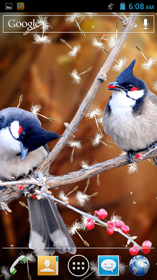 Scaricare Birds 3D — sfondi animati gratuiti per l'Android su un Desktop. 