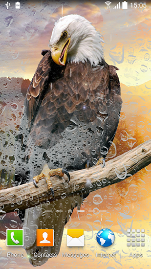 Scaricare Birds by Blackbird wallpapers — sfondi animati gratuiti per l'Android su un Desktop. 