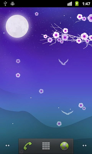 Screenshot dello Schermo Blooming night sul cellulare e tablet.