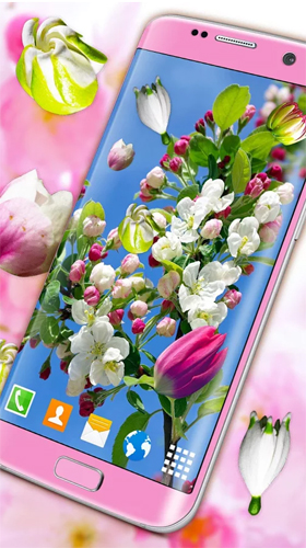 Screenshot dello Schermo Blossoms 3D sul cellulare e tablet.