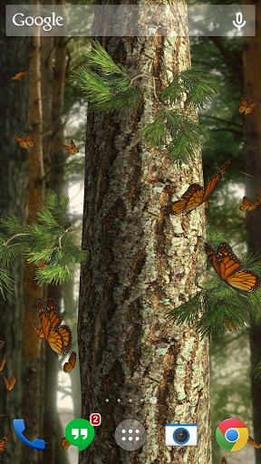 Scaricare Butterflies 3D — sfondi animati gratuiti per l'Android su un Desktop. 