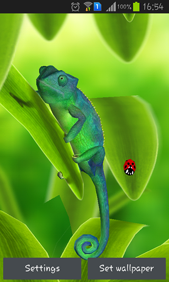 Scaricare Chameleon 3D — sfondi animati gratuiti per l'Android su un Desktop. 