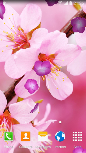 Screenshot dello Schermo Cherry Blossom sul cellulare e tablet.