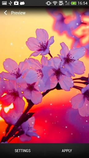 Scaricare Cherry blossom — sfondi animati gratuiti per l'Android su un Desktop. 