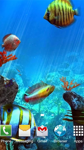 Screenshot dello Schermo Clownfish aquarium 3D sul cellulare e tablet.