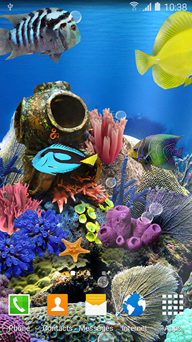 Scaricare Coral fish — sfondi animati gratuiti per l'Android su un Desktop. 