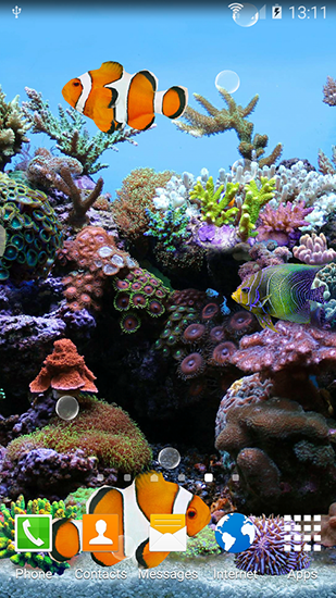 Scaricare Coral fish 3D — sfondi animati gratuiti per l'Android su un Desktop. 