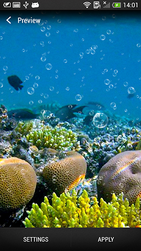 Scaricare Coral reef — sfondi animati gratuiti per l'Android su un Desktop. 