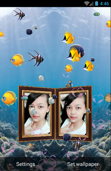 Scaricare Couple photo aquarium — sfondi animati gratuiti per l'Android su un Desktop. 