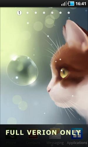 Scaricare Curious cat — sfondi animati gratuiti per l'Android su un Desktop. 