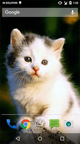 Screenshot dello Schermo Cute cat by Psii sul cellulare e tablet.