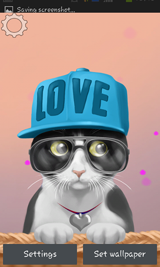 Scaricare Cute kitty — sfondi animati gratuiti per l'Android su un Desktop. 