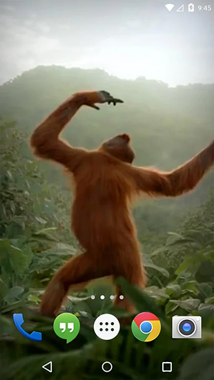 Scaricare Dancing monkey — sfondi animati gratuiti per l'Android su un Desktop. 