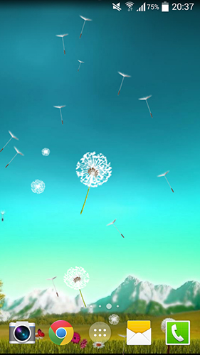 Scaricare Dandelion by Crown Apps — sfondi animati gratuiti per l'Android su un Desktop. 