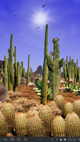 Screenshot dello Schermo Desert sul cellulare e tablet.