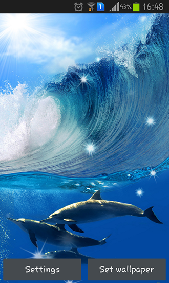 Scaricare Dolphins — sfondi animati gratuiti per l'Android su un Desktop. 