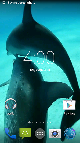 Scaricare Dolphins HD — sfondi animati gratuiti per l'Android su un Desktop. 