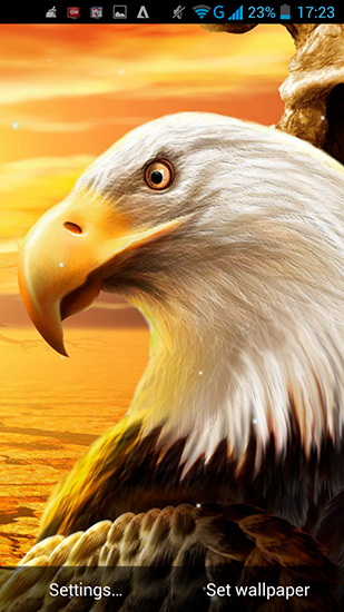 Scaricare Eagle — sfondi animati gratuiti per l'Android su un Desktop. 