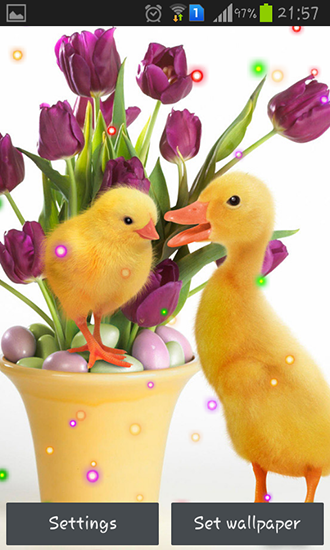 Scaricare Easter Sunday — sfondi animati gratuiti per l'Android su un Desktop. 