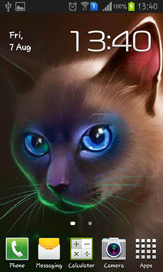 Scaricare Egyptian cat — sfondi animati gratuiti per l'Android su un Desktop. 