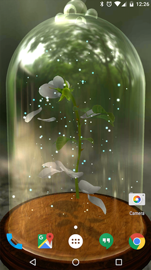 Screenshot dello Schermo Enchanted Rose sul cellulare e tablet.
