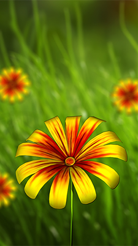 Screenshot dello Schermo Flower 360 3D sul cellulare e tablet.