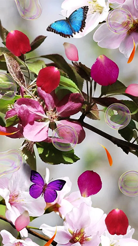 Screenshot dello Schermo Flowers by Cosmic Mobile Wallpapers sul cellulare e tablet.