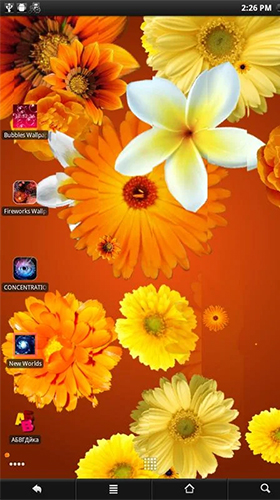 Screenshot dello Schermo Flowers by PanSoft sul cellulare e tablet.