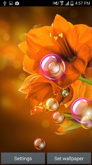Scaricare Flowers 2015 — sfondi animati gratuiti per l'Android su un Desktop. 