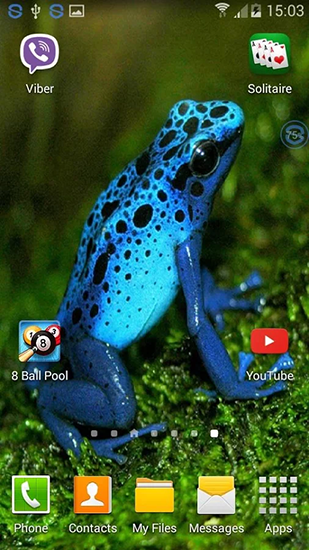 Scaricare Frogs: shake and change — sfondi animati gratuiti per l'Android su un Desktop. 