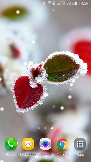 Scaricare Frozen beauty: Winter tale — sfondi animati gratuiti per l'Android su un Desktop. 