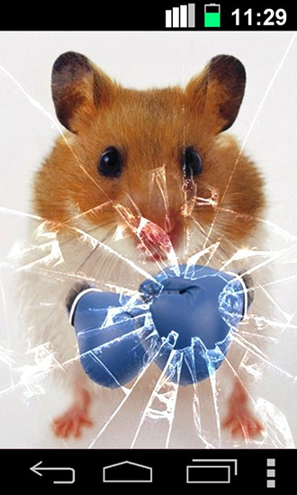 Scaricare Funny hamster: Cracked screen — sfondi animati gratuiti per l'Android su un Desktop. 