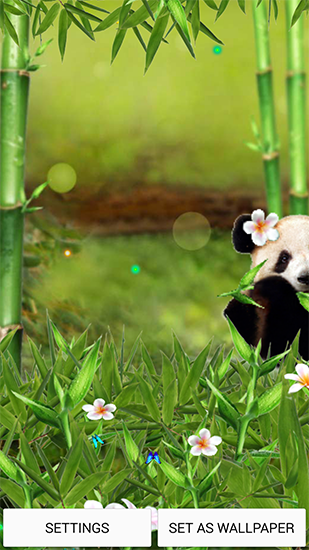 Scaricare Funny panda — sfondi animati gratuiti per l'Android su un Desktop. 