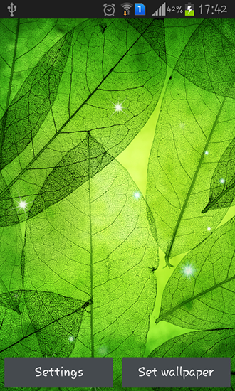 Scaricare Green leaves — sfondi animati gratuiti per l'Android su un Desktop. 