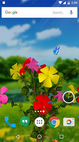 Screenshot dello Schermo Hibiscus 3D sul cellulare e tablet.