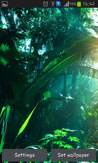 Scaricare Jungle — sfondi animati gratuiti per l'Android su un Desktop. 