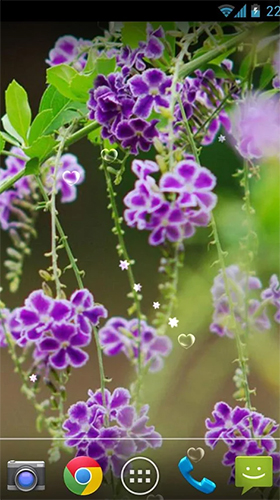 Screenshot dello Schermo Lavender by orchid sul cellulare e tablet.