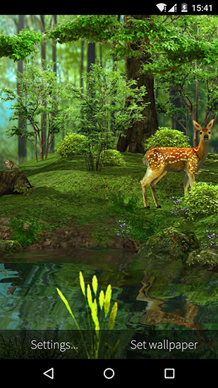 Scaricare Nature 3D — sfondi animati gratuiti per l'Android su un Desktop. 